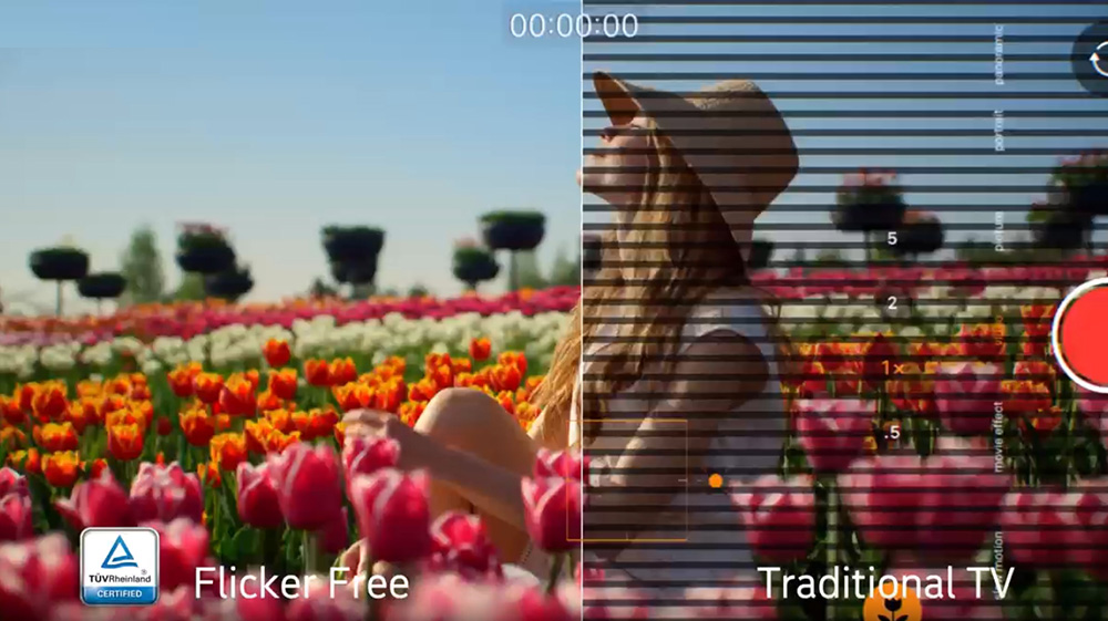 Flikkervrij